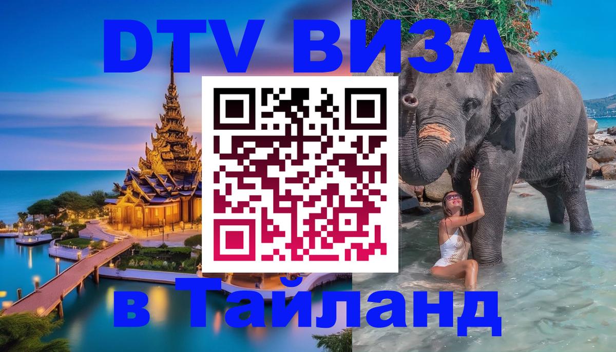 Сколько стоит DTV виза — актуальные цены, оформление даже без документов - Вьентьян  19.11.2025 